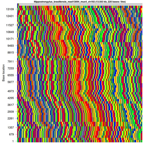 Repeat sequence represented in a rectangular fashion